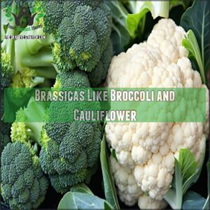 Brassicas Like Broccoli and Cauliflower