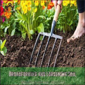 Broadforking and Loosening Soil