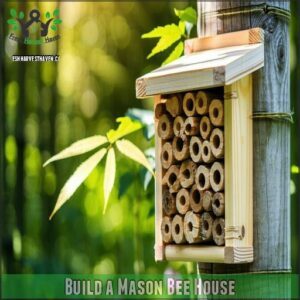 Build a Mason Bee House