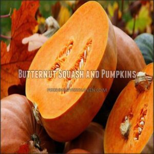 Butternut Squash and Pumpkins