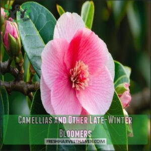 Camellias and Other Late-Winter Bloomers