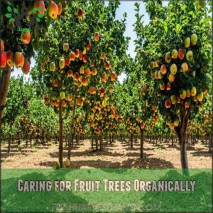 Caring for Fruit Trees Organically