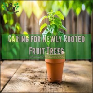 Caring for Newly Rooted Fruit Trees