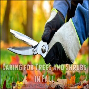 Caring for Trees and Shrubs in Fall