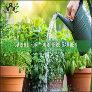 Caring for Your Herb Garden