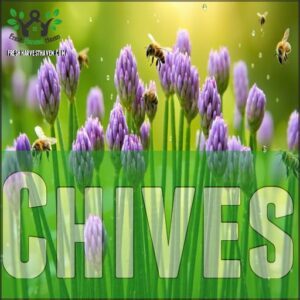 Chives