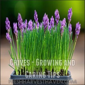 Chives - Growing and Caring Tips