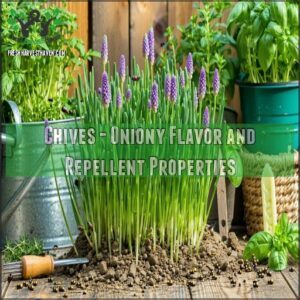 Chives - Oniony Flavor and Repellent Properties