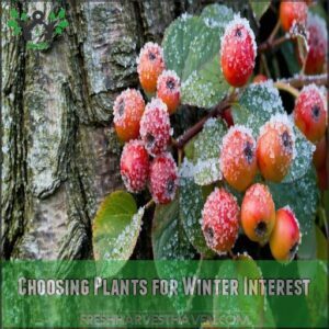 Choosing Plants for Winter Interest