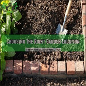 Choosing The Right Garden Location