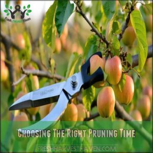 Choosing The Right Pruning Time