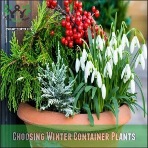 Choosing Winter Container Plants