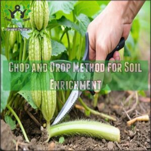 Chop and Drop Method for Soil Enrichment