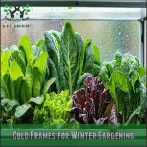 Cold Frames for Winter Gardening