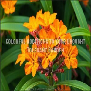 Colorful Additions to Your Drought Tolerant Garden