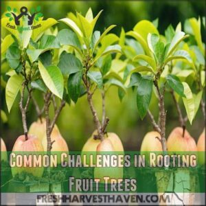 Common Challenges in Rooting Fruit Trees