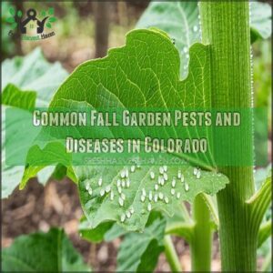 Common Fall Garden Pests and Diseases in Colorado