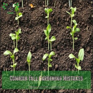 Common Fall Gardening Mistakes