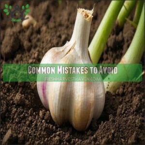 Common Mistakes to Avoid