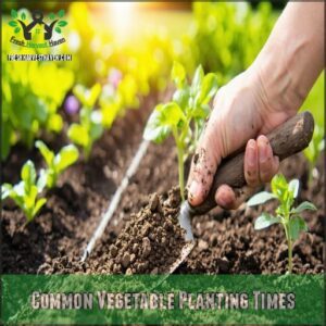 Common Vegetable Planting Times