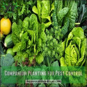 Companion Planting for Pest Control