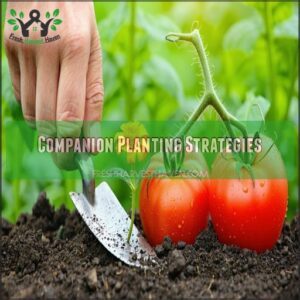 Companion Planting Strategies