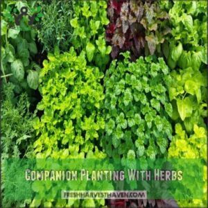 Companion Planting With Herbs