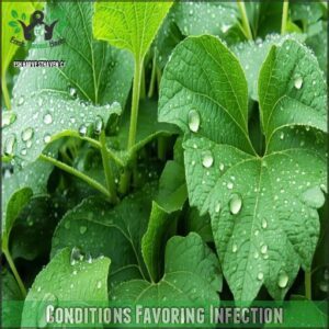 Conditions Favoring Infection