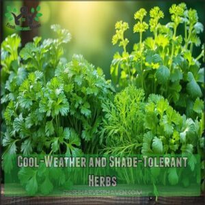 Cool-Weather and Shade-Tolerant Herbs