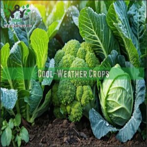 Cool-Weather Crops