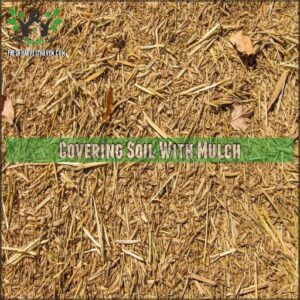 Covering Soil With Mulch