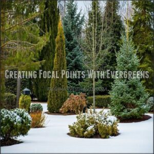 Creating Focal Points With Evergreens