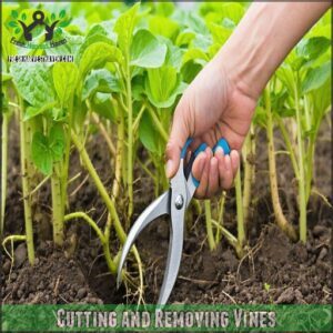 Cutting and Removing Vines