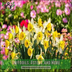 Daffodils, Asters, and More