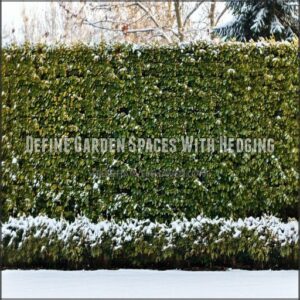 Define Garden Spaces With Hedging