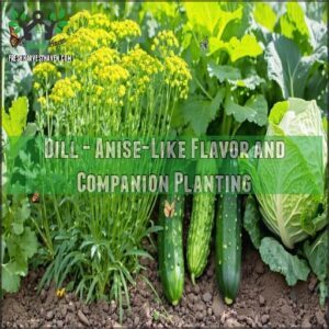 Dill - Anise-Like Flavor and Companion Planting