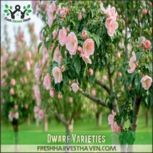 Dwarf Varieties