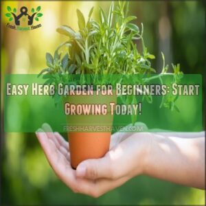 easy herb garden for beginners