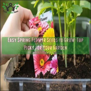 easy spring flower seeds to grow