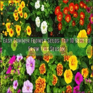 easy summer flower seeds