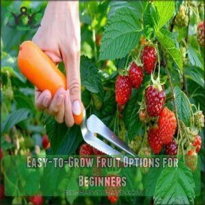 Easy-to-Grow Fruit Options for Beginners