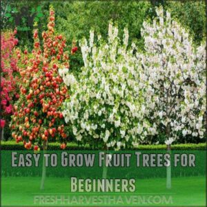 Easy to Grow Fruit Trees for Beginners