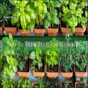 Easy-to-Grow Herbs for Beginners