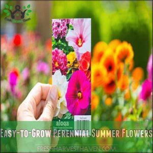 Easy-to-Grow Perennial Summer Flowers