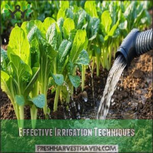 Effective Irrigation Techniques