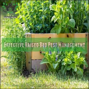 Effective Raised Bed Pest Management