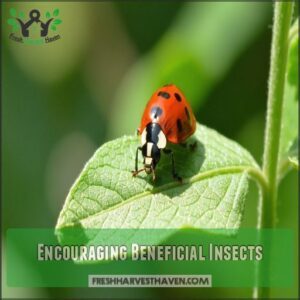 Encouraging Beneficial Insects