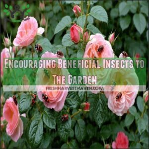 Encouraging Beneficial Insects to The Garden