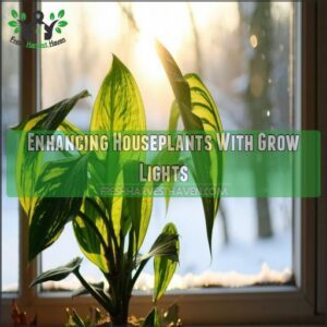 Enhancing Houseplants With Grow Lights