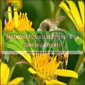 Enhancing Pollinator Support With Companion Plants